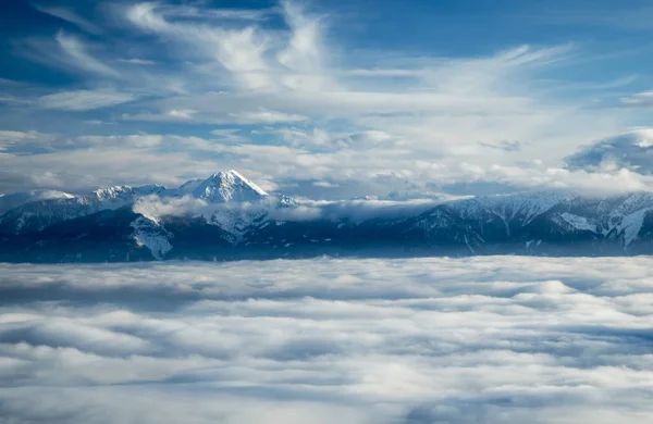 Árvores de inverno em montanhas, paisagem natural — Fotografia de Stock