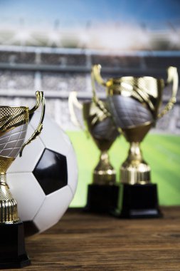 Ganimet Kazanma, spor topu arka planı