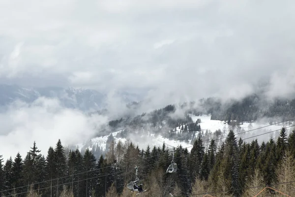 Téli fák a hegyekben, természet táj — Stock Fotó