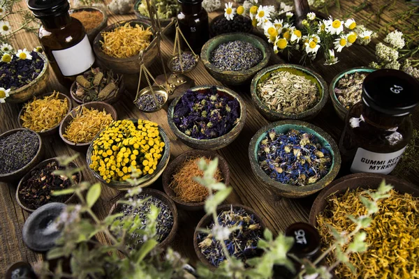 Natuurlijke remedie, kruidengeneeskunde en houten tafel achtergrond — Stockfoto