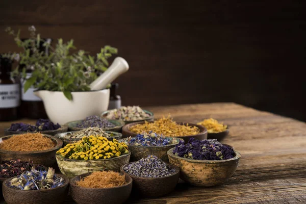 Naturläkemedel, Örtmedicin och trä bord bakgrund — Stockfoto