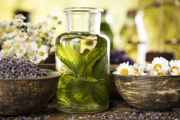 Fresh herbs and oils, wooden table background — Stock Photo, Image