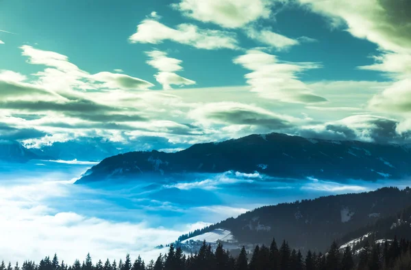 Φανταστικό χειμερινό τοπίο, ηλιοβασίλεμα, χιονισμένα δέντρα — Φωτογραφία Αρχείου