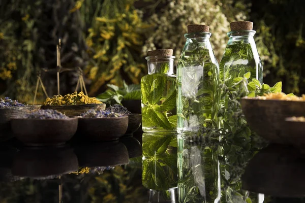 Świeże zioła i olejki, drewniane tło stołu — Zdjęcie stockowe
