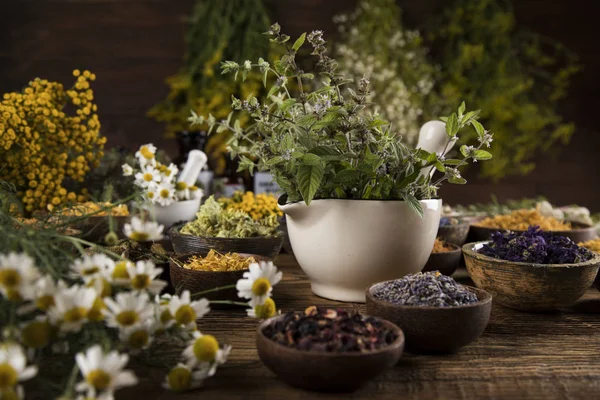 Remedio natural, medicina herbal y fondo de mesa de madera — Foto de Stock