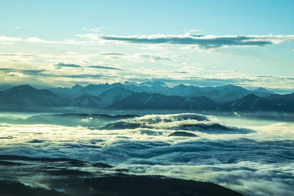 Árvores de inverno em montanhas, paisagem natural — Fotografia de Stock