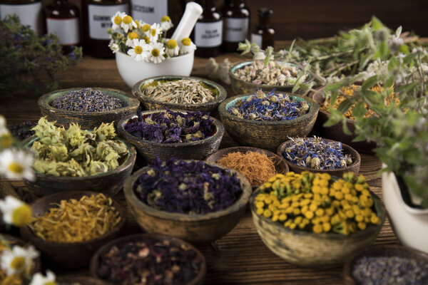 Fresh medicinal herbs on wooden background