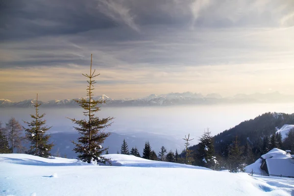 Fantástico Paisaje Invernal Puesta Sol Árboles Cubiertos Nieve — Foto de Stock