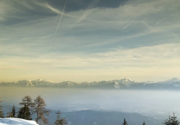 Paysage Hivernal Dans Bois Enneigé — Photo