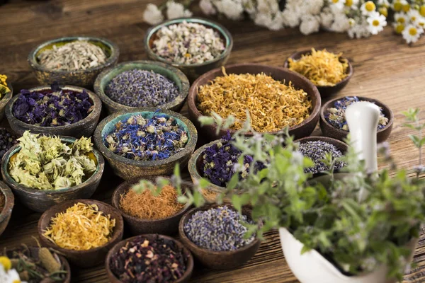 Fresh Medicinal Herbs Wooden Background — Stock Photo, Image