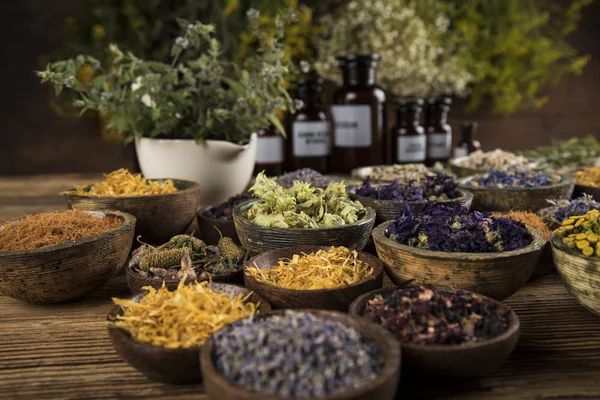 Homeopatía Medicina Herbal Mesa Madera — Foto de Stock