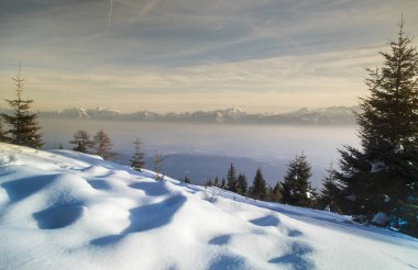 Muhteşem kış manzarası, günbatımı, karla kaplı ağaçlar.