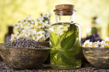 Homeopati, ahşap masada bitkisel ilaçlar.