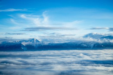 Karlı ormanda kış manzarası