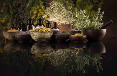 Alternatif sağlık, taze bitkisel ve harç siyah ayna arka planında