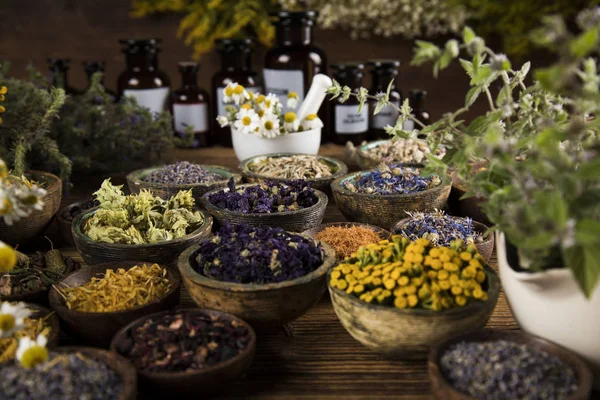 Homeopathy Herbal Medicine Wooden Table — Stock Photo, Image