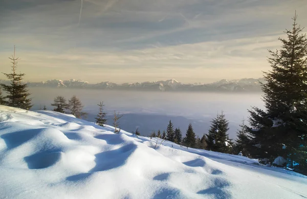 Fantastiskt Vinterlandskap Solnedgång Snötäckta Träd — Stockfoto