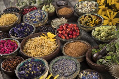 Alternatif tıp, kurumuş otlar.