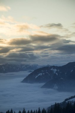 Muhteşem kış manzarası, günbatımı, karla kaplı ağaçlar.