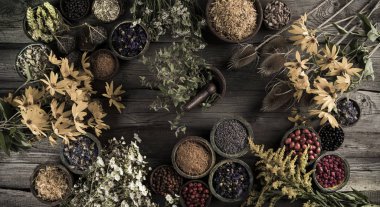 Ahşap arka planda taze şifalı bitkiler.