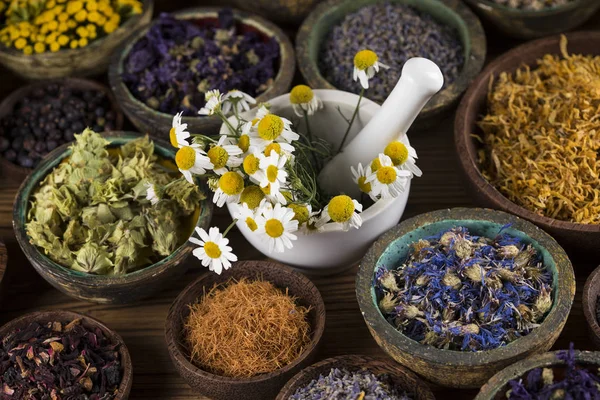 Hierbas Medicinales Frescas Sobre Fondo Madera — Foto de Stock