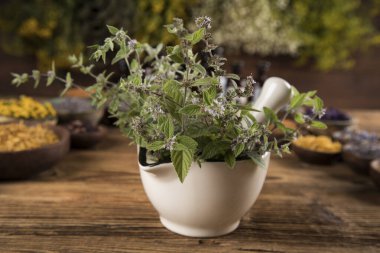 Alternatif tıp, kurumuş otlar.