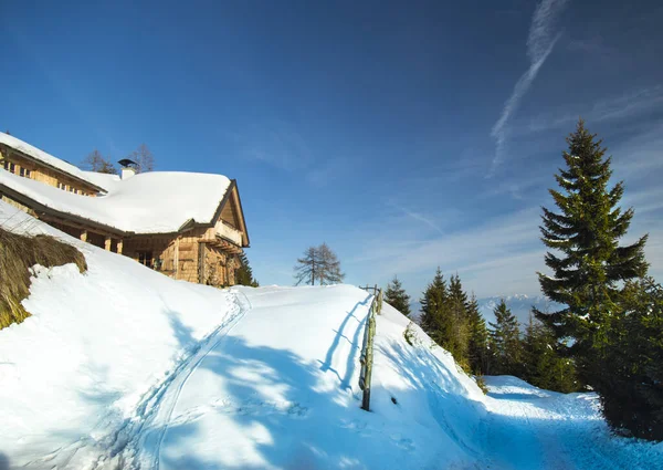 Montanhas Árvores Cobertas Neve Branca — Fotografia de Stock