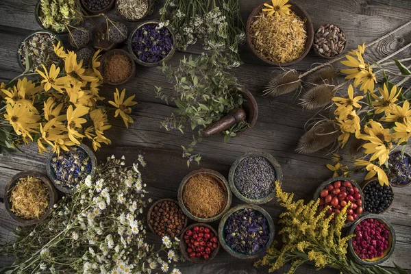 Medicina Alternativa Fondo Erbe Essiccate — Foto Stock