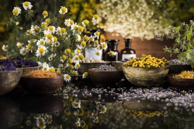 Alternatif sağlık, taze bitkisel ve harç siyah ayna arka planında