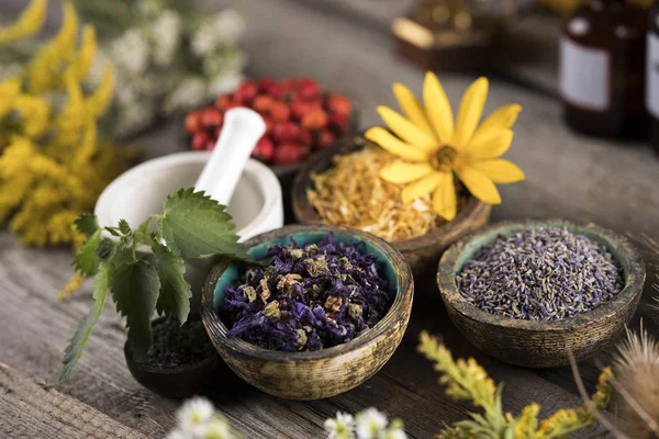 Homeopatía Medicina Herbal Mesa Madera —  Fotos de Stock