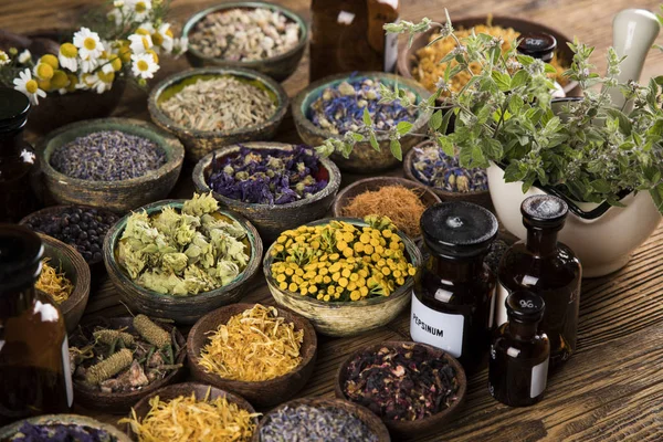 Alternative medicine, dried herbs background