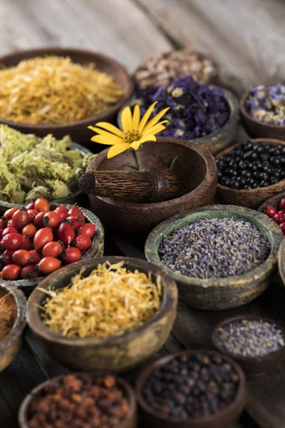 Homeopathy Herbal Medicine Wooden Table — Stock Photo, Image