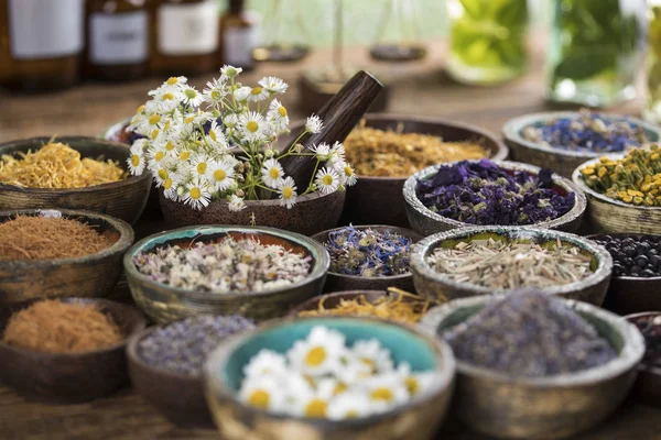 Herbes Médicinales Fraîches Sur Fond Bois — Photo