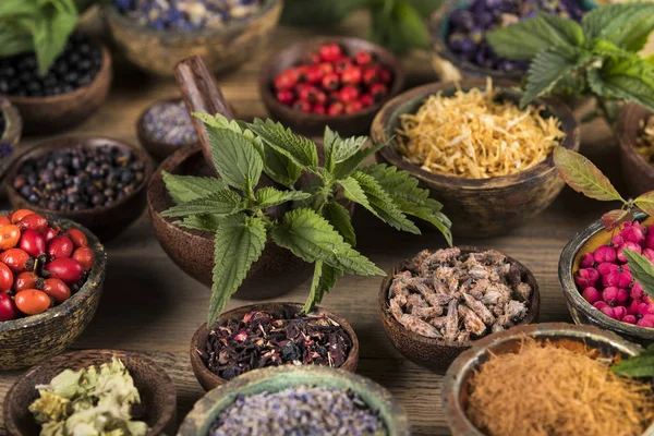 Homeopatia Fitoterapia Sobre Mesa Madeira — Fotografia de Stock