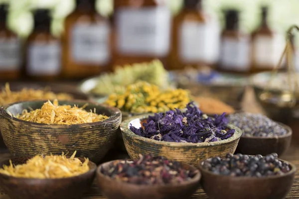 Hierbas Medicinales Frescas Sobre Fondo Madera —  Fotos de Stock