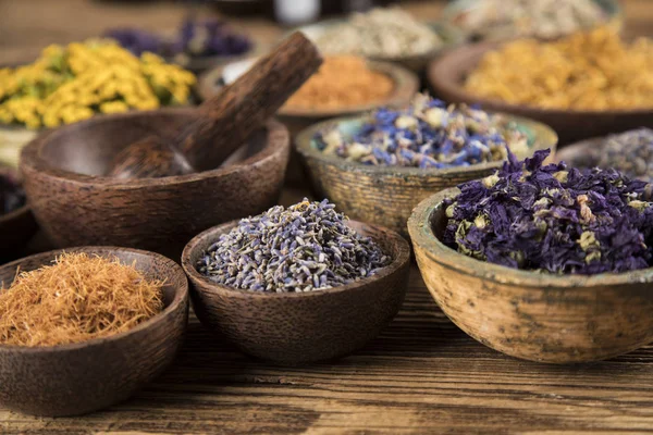 Hierbas Medicinales Frescas Sobre Fondo Madera — Foto de Stock