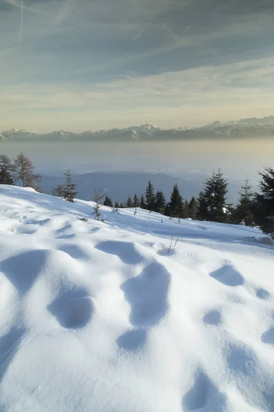 Fantastische Winterlandschaft Sonnenuntergang Schneebedeckte Bäume — Stockfoto