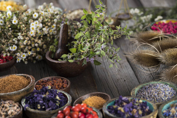 Свежие лекарственные травы на деревянном фоне