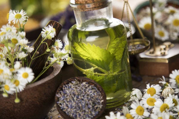 Olio Medicina Naturale Sfondo Tavolo Legno — Foto Stock