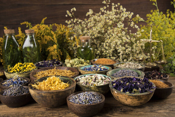 Homeopathy, herbal medicine on wooden table