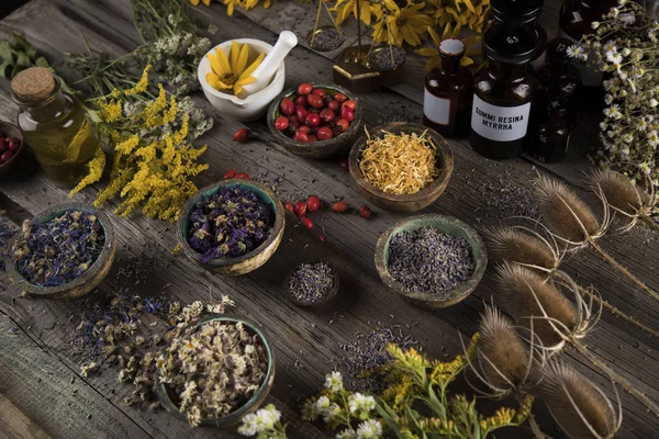 Erbe Medicinali Fresche Sfondo Legno — Foto Stock