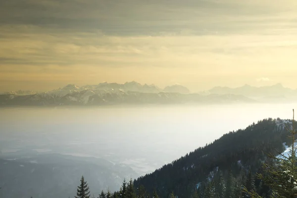 Vinterträd Berg Naturlandskap — Stockfoto