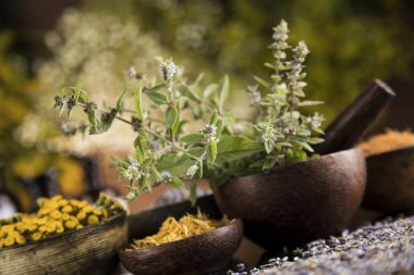 Alternatif sağlık, taze bitkisel ve harç siyah ayna arka planında