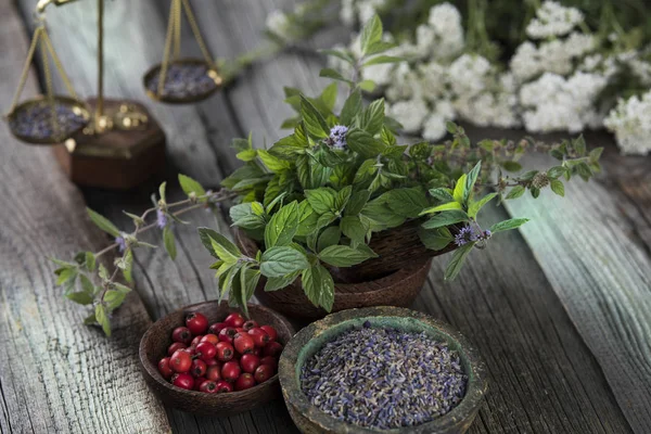 Homeopathy Herbal Medicine Wooden Table — Stock Photo, Image