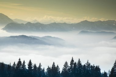 Dağlar, ağaçlar beyaz karla kaplı.