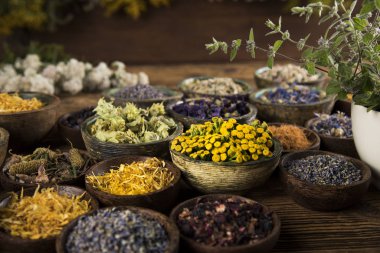 Alternatif tıp, kurumuş otlar.