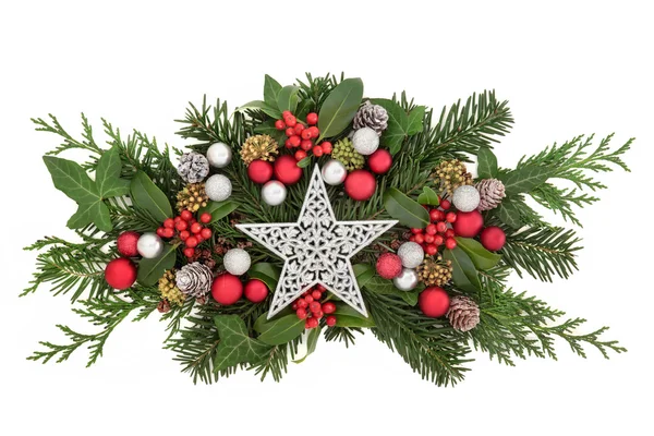 Christmas Star Decoration and Flora — Stock Photo, Image