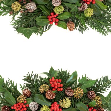 Kış yeşillik ve Holly kenarlık 