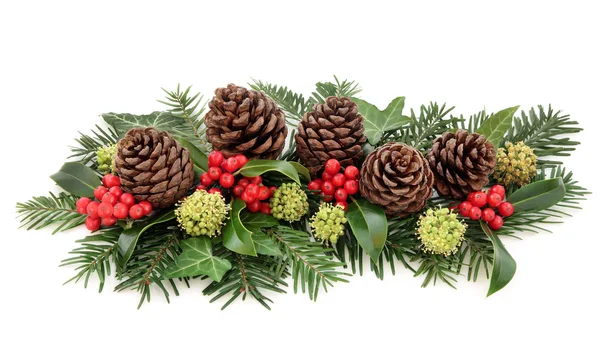 Flora zimní a vánoční dekorace — Stock fotografie