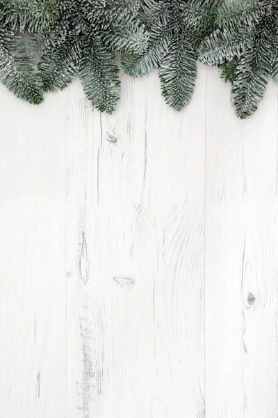 Christmas Fir and Snow Background — Stock Photo, Image